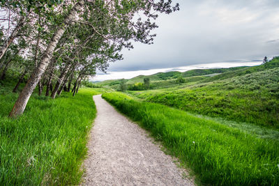 Single lane road amidst green landscape against sky