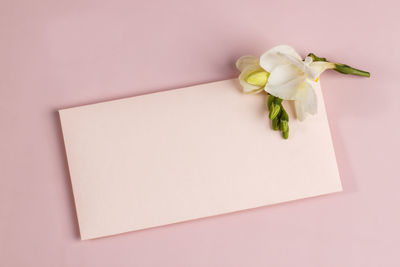 High angle view of rose petals on table