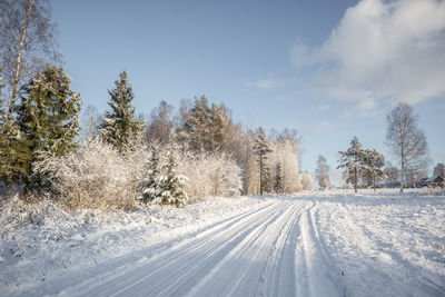 A beautiful winter day landscape of a gravel road near the forest. snow covered scenery.