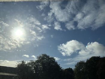 Low angle view of trees against sky on sunny day