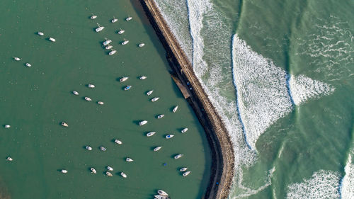 High angle view of plants by sea