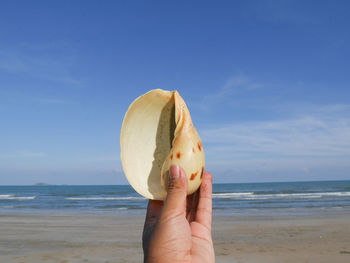 Cropped image of person holding shell against sky