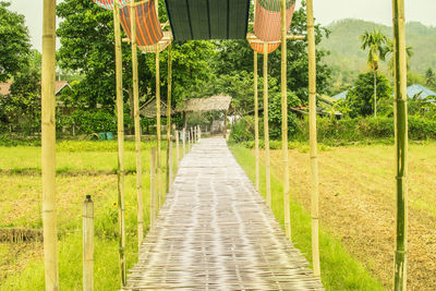 Footpath amidst trees in park