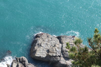 High angle view of rocks in sea