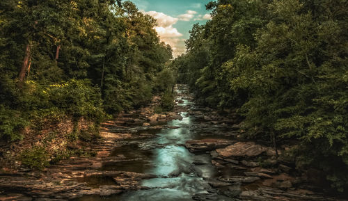 River flowing through rocks
