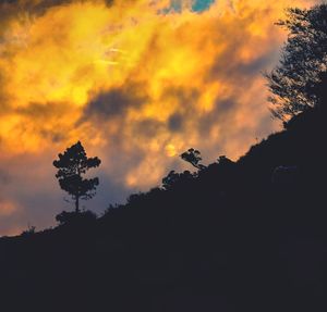 Silhouette trees against sky during sunset