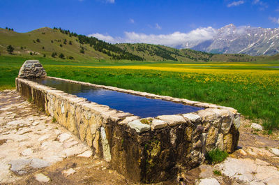 Scenic view of field against sky