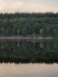 Reflection of trees in lake against sky