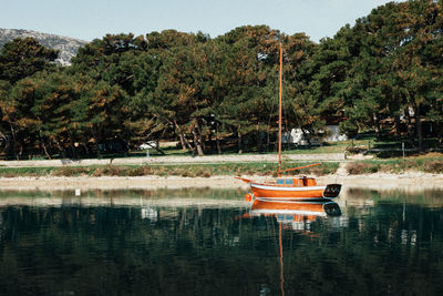 Boats moored on lake by trees