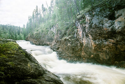 Scenic view of waterfall in forest