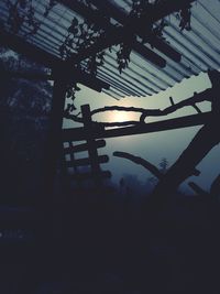 Close-up of silhouette trees against sky