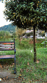 Empty bench in park