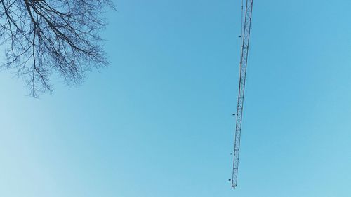 Low angle view of bare trees against clear blue sky