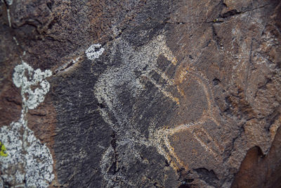 Full frame shot of a rock