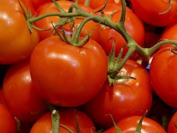 Full frame shot of tomatoes