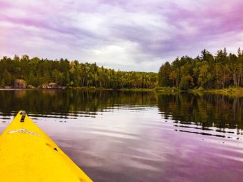 Scenic view of lake in forest against sky