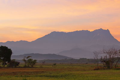 Scenic view of field against sky during sunset