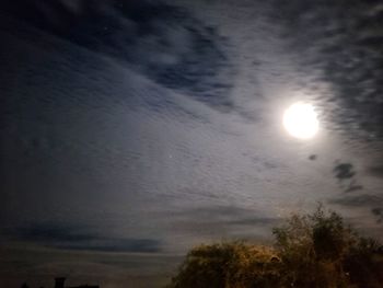 Low angle view of trees against sky