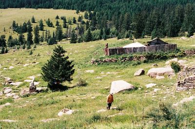 People on field by houses against trees and plants