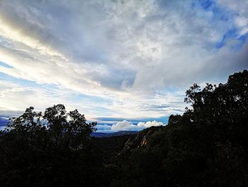 Low angle view of silhouette trees against sky