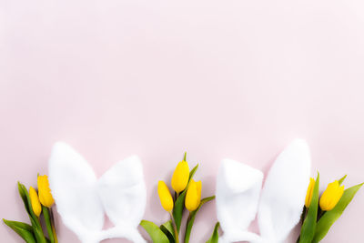 Easter concept. flat lay with white fluffy rabbit ears, yellow tulips on a pink background