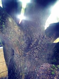 Aerial view of sunlight falling on sunny day