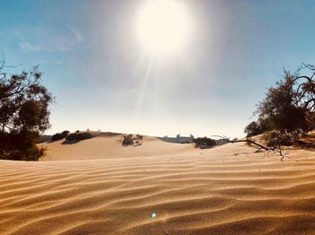 Scenic view of desert against sky