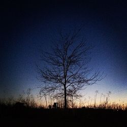 silhouette