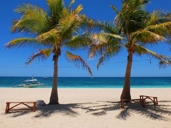 Palm trees on beach against sky