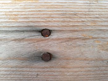 Close-up of wooden plank