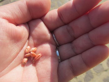 Close-up of cropped hand
