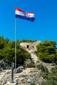 Low angle view of flag amidst plants against clear blue sky