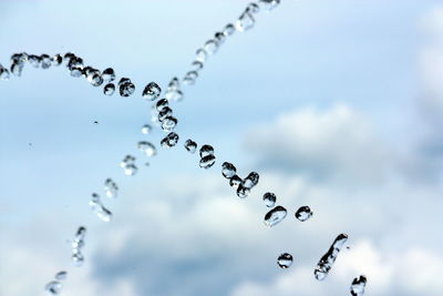 Close-up of water drops against sky