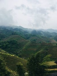 Scenic view of agricultural landscape against sky