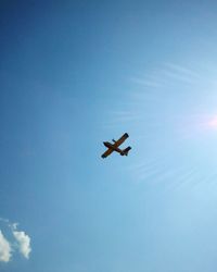 Low angle view of bird flying against clear sky