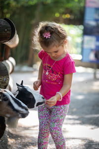 Cute girl feeding goat while standing outdoors