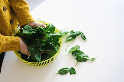 Women hands washing baby spinach leaves