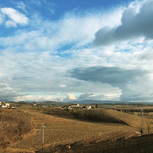 Scenic view of agricultural field against sky