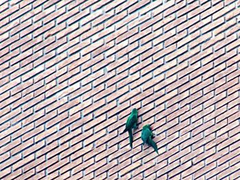 Full length of woman looking at camera