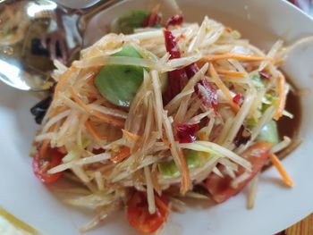 Close-up of meal served in plate