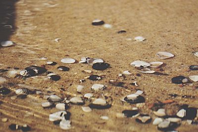 Close-up of sand