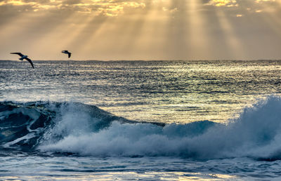 Scenic view of sea against sky during sunset