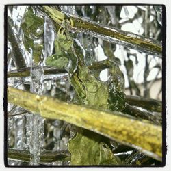 Close-up of water drops on plant