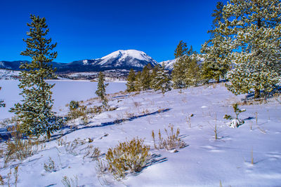 Scenic view of snowcapped mountains against clear blue sky