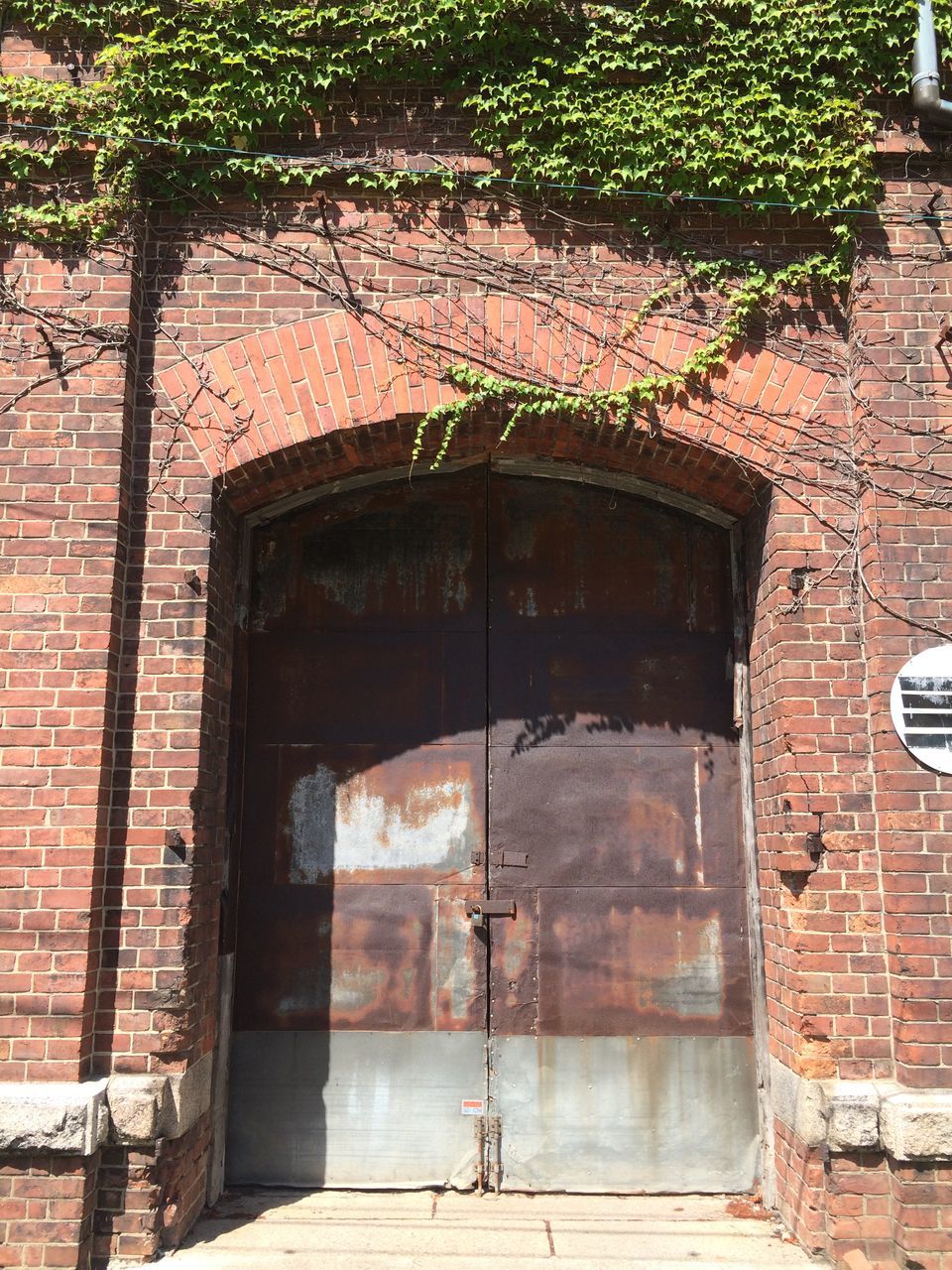 building exterior, architecture, built structure, window, house, plant, growth, residential structure, wall - building feature, residential building, building, abandoned, day, outdoors, no people, old, tree, damaged, reflection, weathered