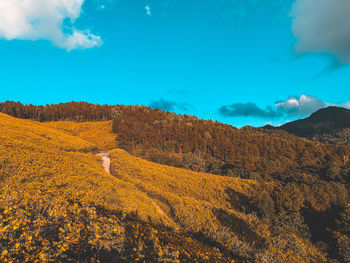 Scenic view of mountains against blue sky