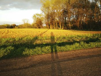 Scenic view of field against sky during sunset