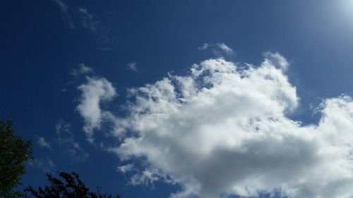 Low angle view of trees against blue sky