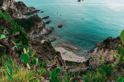 High angle view of rocks on sea shore