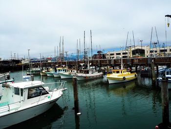 Boats moored in harbor